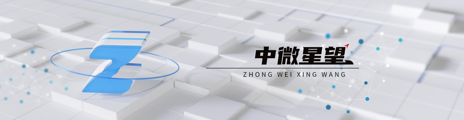 上海中微星望实业有限公司